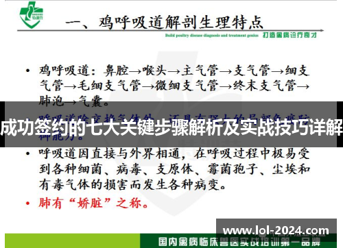 成功签约的七大关键步骤解析及实战技巧详解