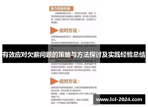 有效应对欠薪问题的策略与方法探讨及实践经验总结